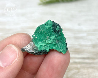 Variscite Specimen #8