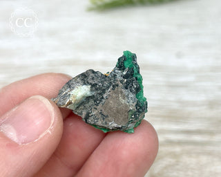 Variscite Specimen #8