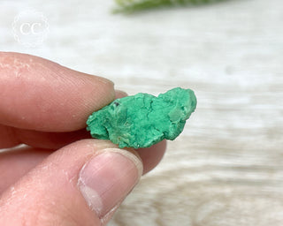 Variscite Specimen #9