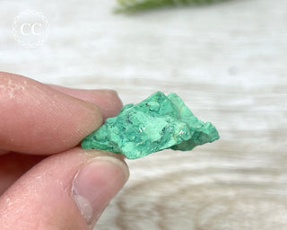 Variscite Specimen #10