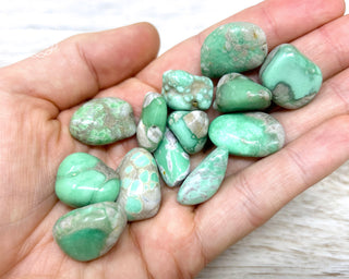 Variscite tumbled crystals in hand