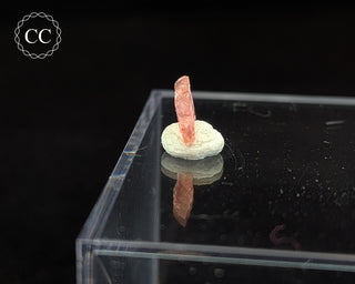 Vayrynenite Specimen #5
