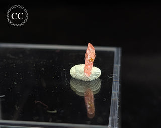 Vayrynenite Specimen #5