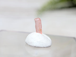 Vayrynenite Specimen #4