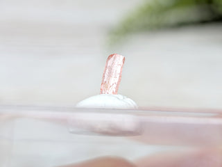 Vayrynenite Specimen #4