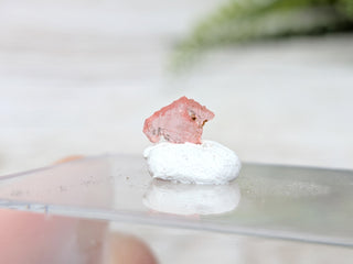 Vayrynenite Specimen #5