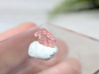 Vayrynenite Specimen #5