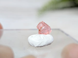 Vayrynenite Specimen #5