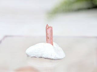 Vayrynenite Specimen #1