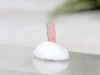 Vayrynenite Specimen #4