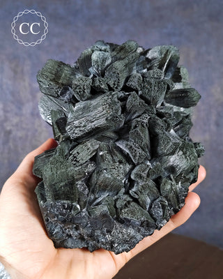A hand holding a Velvet Black Tourmaline specimen from Namibia