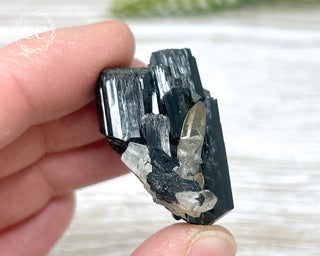 Velvet Black Tourmaline & Smoky Quartz Specimen - Namibia #16