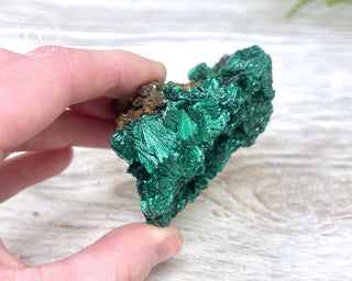 Velvet Malachite Specimen #2