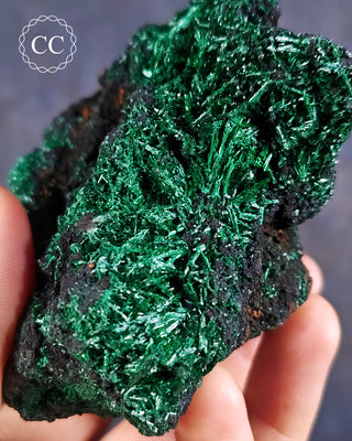 Velvet Malachite Specimen #1