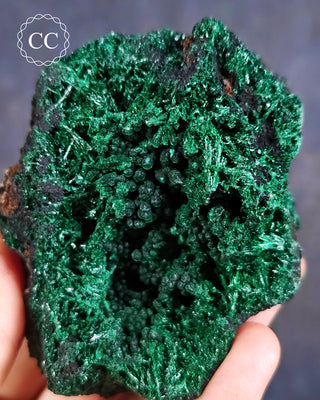 Velvet Malachite Specimen #1