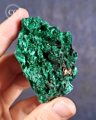 Velvet Malachite Specimen in hand on blue background