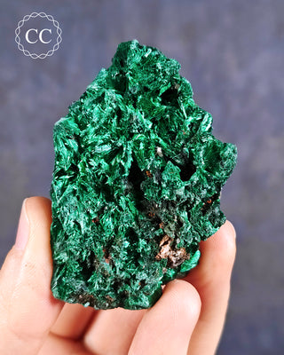 Velvet Malachite Specimen #4