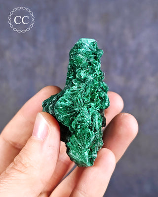 Velvet Malachite Specimen #4