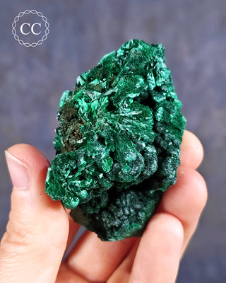 Velvet Malachite Specimen #4
