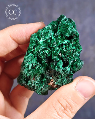 Velvet Malachite Specimen #4