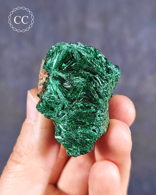 Velvet Malachite Specimen #5
