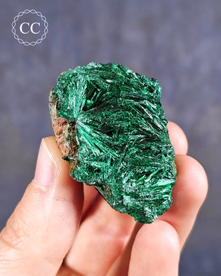 Velvet Malachite Specimen #5