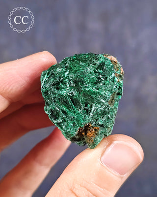 Velvet Malachite Specimen #5