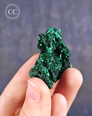 Velvet Malachite Specimen #6