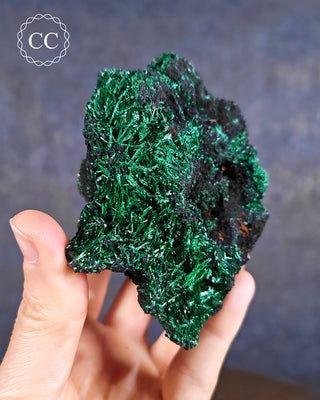 Velvet Malachite Specimen #1
