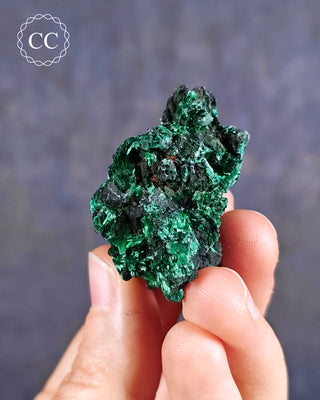 Velvet Malachite Specimen #6