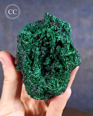 Velvet Malachite Specimen in hand on blue background