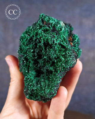 Velvet Malachite Specimen #1