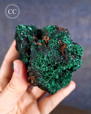 Velvet Malachite Specimen #1