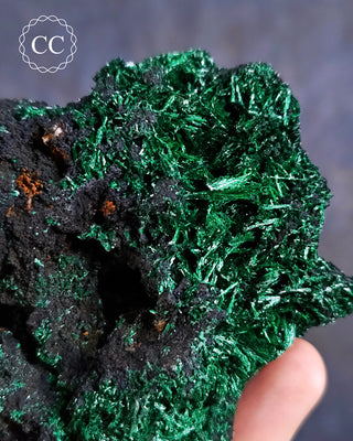 Velvet Malachite Specimen #1