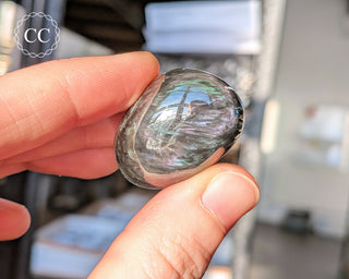 Velvet Obsidian Pebble #3