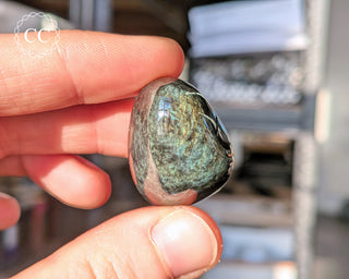 Velvet Obsidian Pebble #5