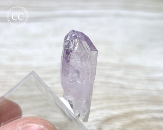 Vera Cruz Amethyst Crystal #4