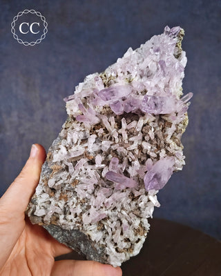 Large Vera Cruz Amethyst Cluster #1