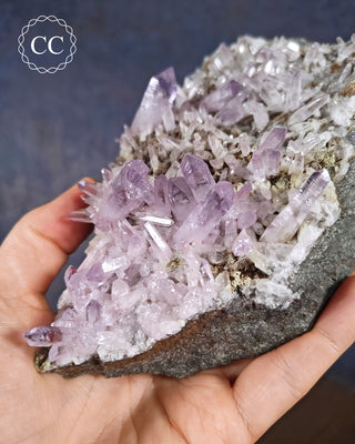 Large Vera Cruz Amethyst Cluster #1