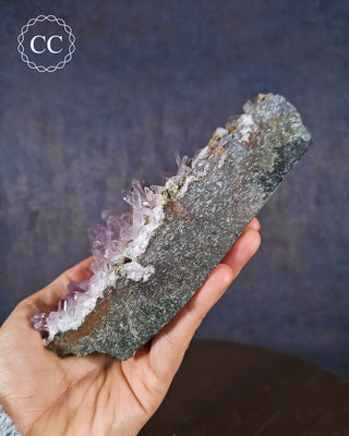 Large Vera Cruz Amethyst Cluster #1