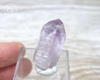 Vera Cruz Amethyst Crystal #3