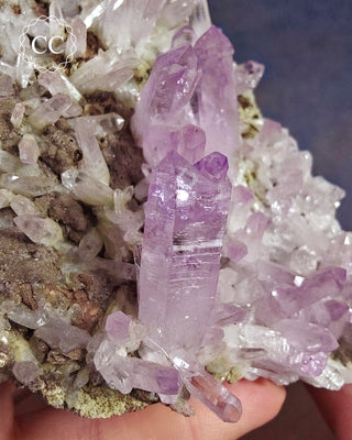 Large Vera Cruz Amethyst Cluster #1