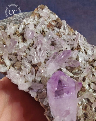 Large Vera Cruz Amethyst Cluster #1