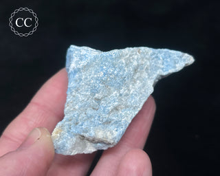 Violan Specimen #1