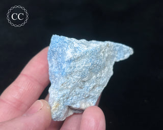 Violan Specimen #1
