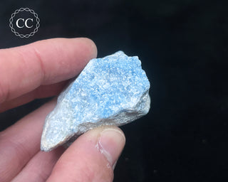 Violan Specimen #1