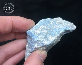 Violan Specimen #1