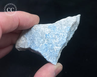 Violan Specimen #1