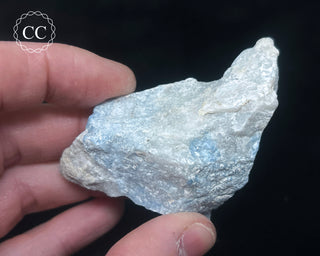 Violan Specimen #1