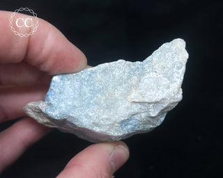 Violan Specimen #1